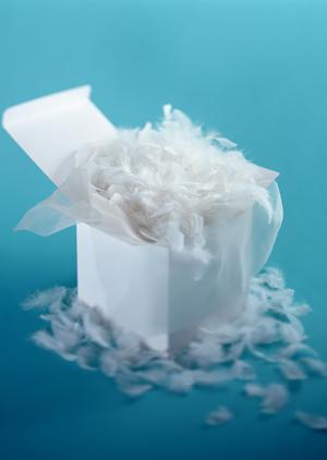 耐火金庫を利用した方がいい理由